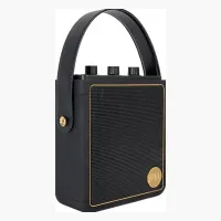 Peaq ICONIC Vibe 5 PPA 540-RW Robbie Williams