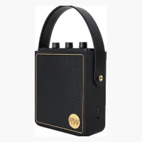 Peaq ICONIC Vibe 5 PPA 540-RW Robbie Williams