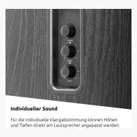 TechniSat AUDIOMASTER RLS 1