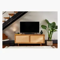 Bose TV Speaker