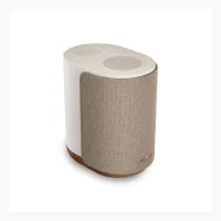 Bose Lifestyle Ultra Speaker