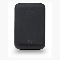 Bluesound PULSE FLEX P130