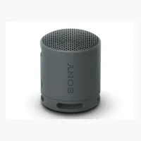 Sony SRS-XB100