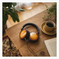Audio Technica ATH-WP900