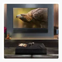 LG USG10TY 3 1Ch Subwoofer in