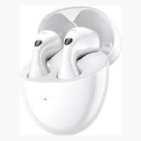 Huawei FreeBuds 6
