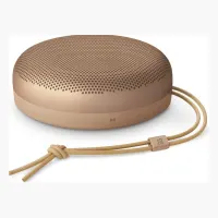 Bang & Olufsen Beosound A1 (3rd Gen)