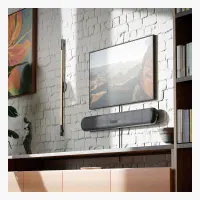 Bluesound Pulse Cinema Mini