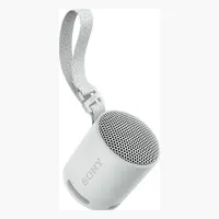 Sony SRS-XB100
