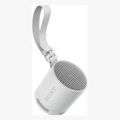 Sony SRS-XB100