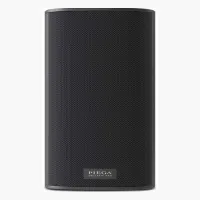 Piega Ace 30 Wireless