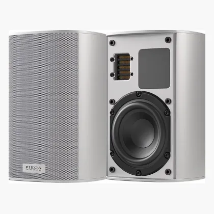 Piega Ace 30 Wireless