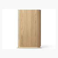 Bang & Olufsen Beosound Emerge