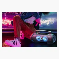 W-KING D10