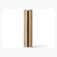 Bang & Olufsen Beosound Emerge