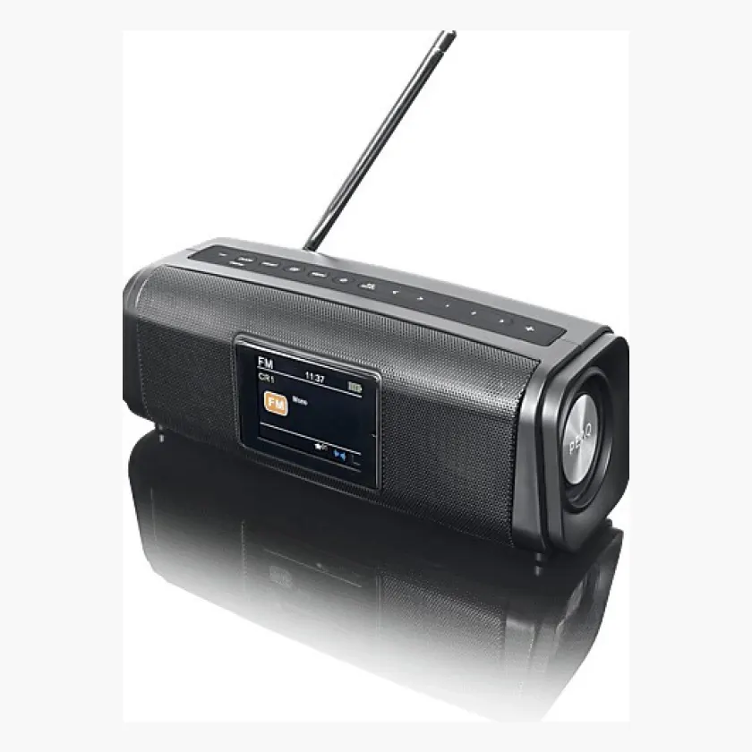Peaq PPA 460