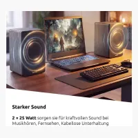 TechniSat AUDIOMASTER RLS 1
