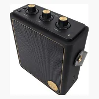 Peaq ICONIC Vibe 5 PPA 540-RW Robbie Williams