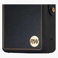 Peaq ICONIC Vibe 5 PPA 540-RW Robbie Williams