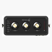 Peaq ICONIC Vibe 5 PPA 540-RW Robbie Williams
