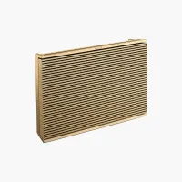 Bang & Olufsen Beosound Level