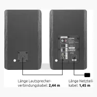 TechniSat AUDIOMASTER RLS 1