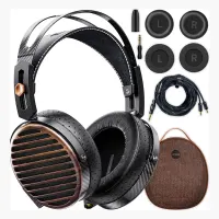FiiO FT7