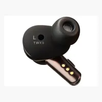 Audio Technica ATH-TWX9
