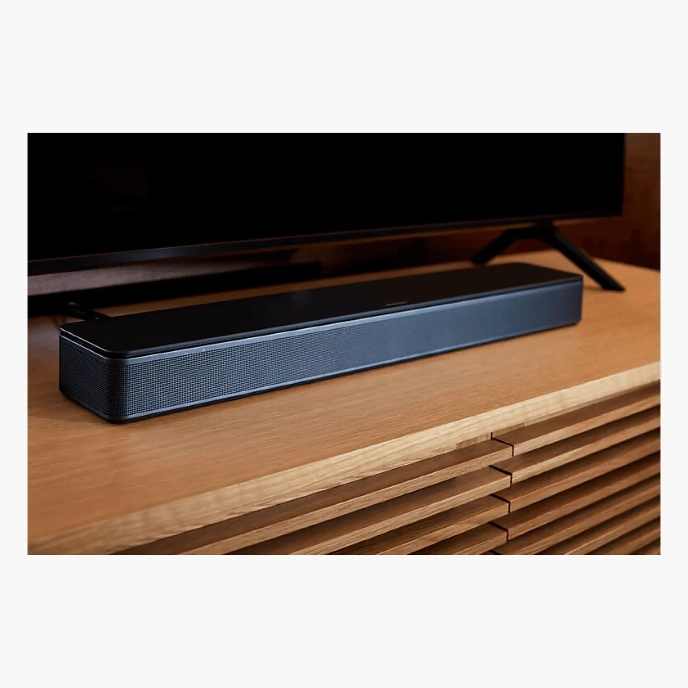 Bose TV Speaker