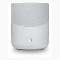 Bluesound Pulse M