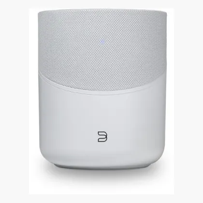Bluesound Pulse M
