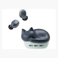 radius HP-C28BT