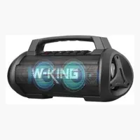 W-KING D10