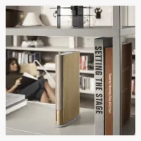Bang & Olufsen Beosound Emerge
