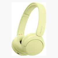 Sony WH-CH520
