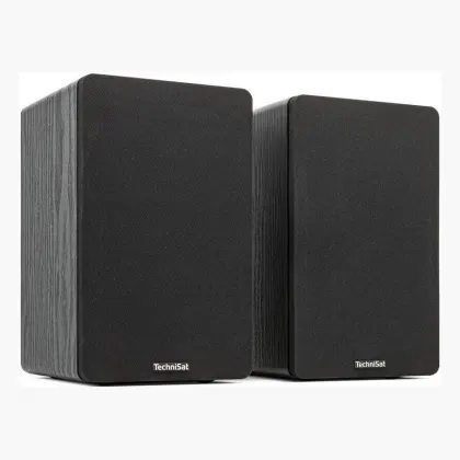 TechniSat AUDIOMASTER RLS 1