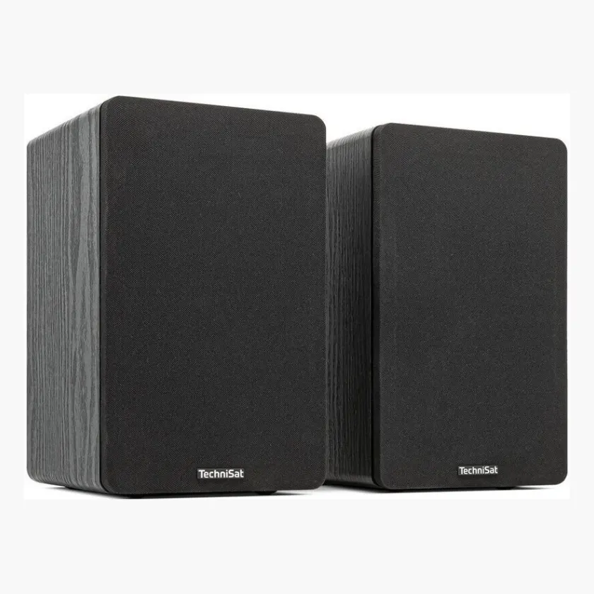 TechniSat AUDIOMASTER RLS 1