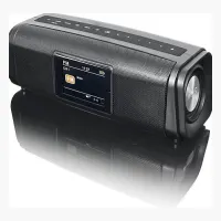 Peaq PPA 460