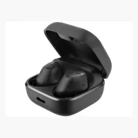 Sennheiser Accentum True Wireless