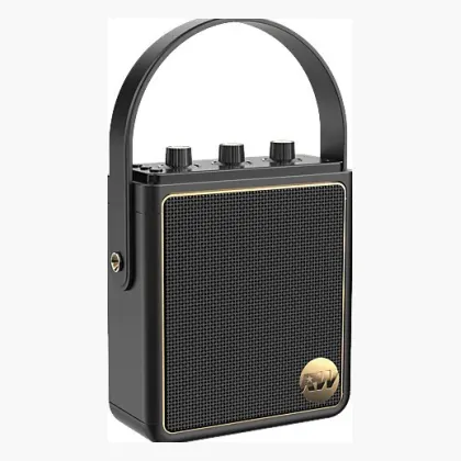 Peaq ICONIC Vibe 5 PPA 540-RW Robbie Williams
