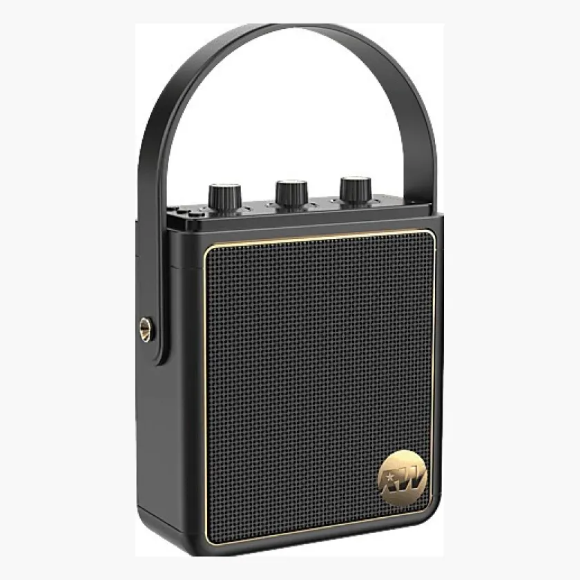 Peaq ICONIC Vibe 5 PPA 540-RW Robbie Williams