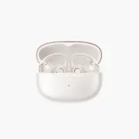 Shokz OpenDots 2