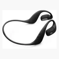 JBL Endurance Pace