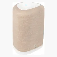 Bluesound PULSE FLEX P130