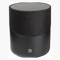 Bluesound Pulse M