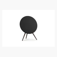 Bang & Olufsen BeoSound A9 Mk5