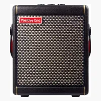 Positive Grid Spark MINI