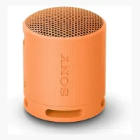 Sony SRS-XB100