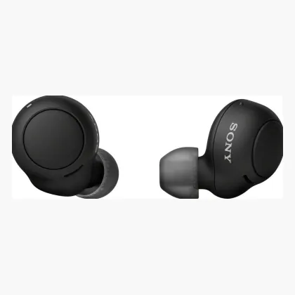 Sony WF-C500